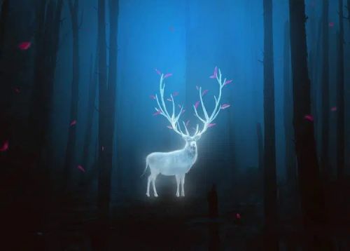 آموزش طراحی گوزن درخشان در فتوشاپ